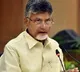 Chandrababu express grief over RTC bus incident