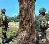 Two terrorists killed in Pulawama