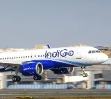 Flyer Vomits Blood On IndiGos Mumbai Ranchi Flight Dies Later
