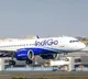 Flyer Vomits Blood On IndiGos Mumbai Ranchi Flight Dies Later