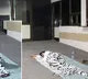 Delhi Women panel chief Swati Maliwal sleeps at hospital