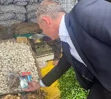 German minister fascinated as he checks out India UPI system
