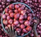 No difference if people dont eat onions for 2 to 4 months
