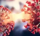 New highly-mutated Covid variant has put researchers on high alert