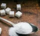 India is going to ban sugar exports in next season