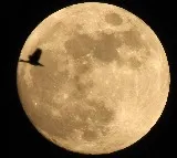Who owns the rights to the moons resources Here is the answer