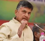 Chandrababu opines on Allu Arjun selected for national best actor award