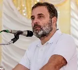 Everyone in Ladakh knows that China has taken our land Rahul Gandhi