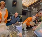 Couple transferred assets to their dog and it leads property agency organizer arrest