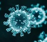 WHO warns about Cornona new variant found in water