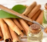 Cannamon can prevent Prostate cancer sys Hyderabad NIN