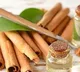 Cannamon can prevent Prostate cancer sys Hyderabad NIN