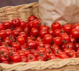 Tomato prices are easing in Andhra Pradesh
