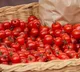 Tomato prices are easing in Andhra Pradesh