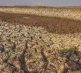 31 percent of India facing moderate to extreme dryness next 2 week