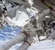 Study shows how living in space can impair astronauts' immune systems
