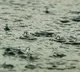 Less Rainfall Possibility In September too