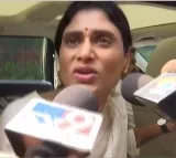 YS Sharmila meets Sonia Gandhi and Rahul Gandhi