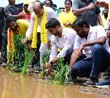 Nara Lokesh plants paddy on road