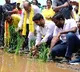 Nara Lokesh plants paddy on road