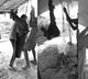 Two Telangana youths hung upside down on suspicion of theft