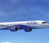 Delhi bound IndiGo flight hit by bird makes emergency landing