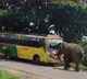 Elephant attacks on a bus in Manyam district