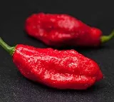 Brazil woman hospitalized after sniffed intense goat pepper