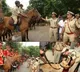 Hyderabad Commissioner reviews security in view of elections, festivals