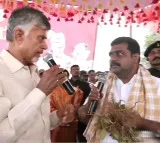 Chandrababu visits groundnut crap in Ananatapur district