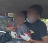 Ghaziabad Teen Hides Dog Bite From Parents Dies Of Rabies A Month Later