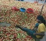 Tomato prices expected to fall after higher supplies in Telugu states