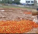 Tomato prices dips after three months