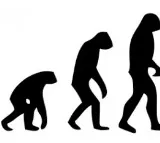 Humans Might Have Faced Extinction 1 Million Years Ago