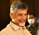 TDP appoints incharges to Kadapa and Prathipadu assembly constituencies