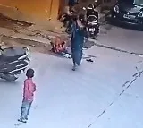 Hyderabad boy seriously injured in stray dog attack
