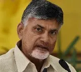 AP CID files custody petition for Chandrababu