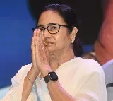 if there is some mistake conduct investigation mamata on chandrababu arrest