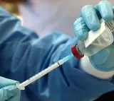 Nipah Alert Sounded In Kerala After Two Unnatural Deaths