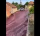 22 Lakh Litres Wine Flowed Through Portugal Town