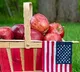 Centre clarification on import duty on US apples after Priyanka Gandhi jibe