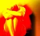 JNU student raped on pretext of marriage in Delhi, FIR lodged