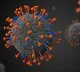Nipah virus in kerala identified as bangladesh variant