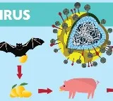 Nipah virus in Kerala Schools colleges shut in Kozhikode till Sept 17