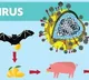 Nipah virus in Kerala  Schools colleges shut in Kozhikode till Sept 17