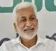 Elections are between pack of wolves and a lion says Vijayasai Reddy