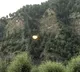 Kashmir Encounter Enters Day 4 And Gunfight Continues