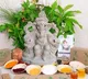 Get Aaradhya Vinayaka pooja kit includes idol and 21 Patri and 30 pooja samagri with single click