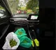 Woman peels green peas while waiting in Bengaluru traffic jam