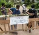 Nipah virus under control in Kerala restrictions eased in containment zones